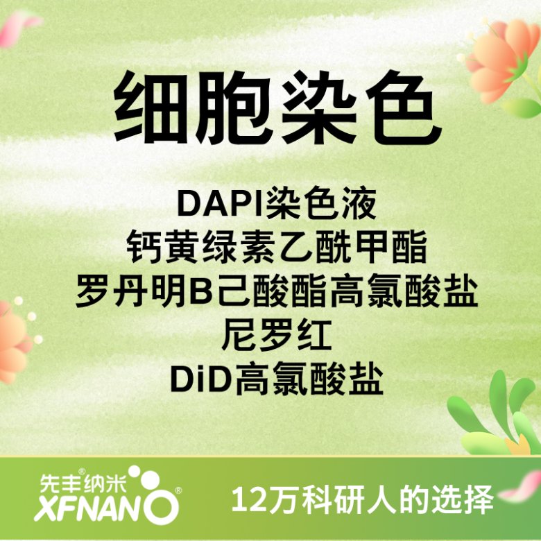 104145_935845_gsdt.png