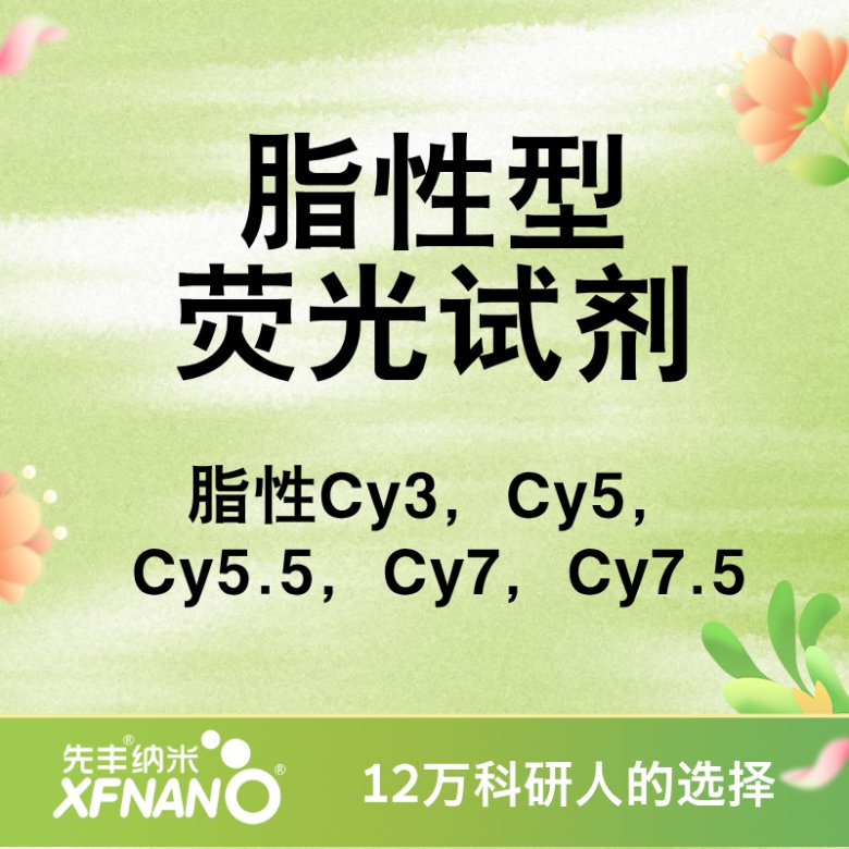 104146_493060_gsdt.png